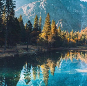 Meet your Posher, Lilliana